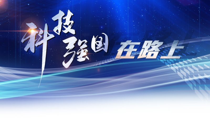 企业数字化工具版本差异解析：如何选择合适版本