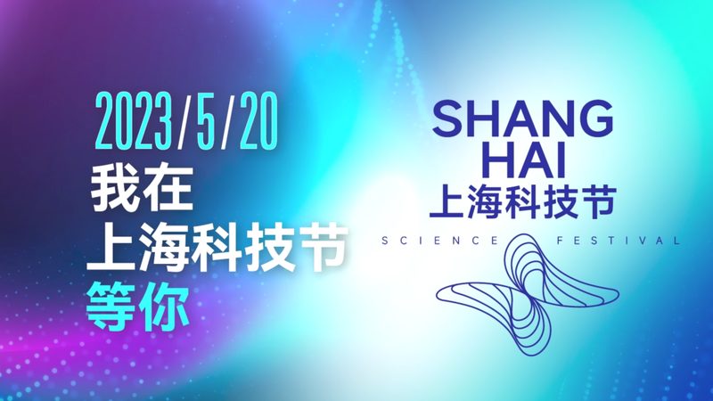 软件测试流程与步骤：面试官眼中的关键