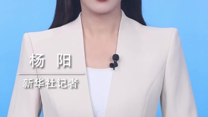 学校数据备份策略的常见误区与优化路径